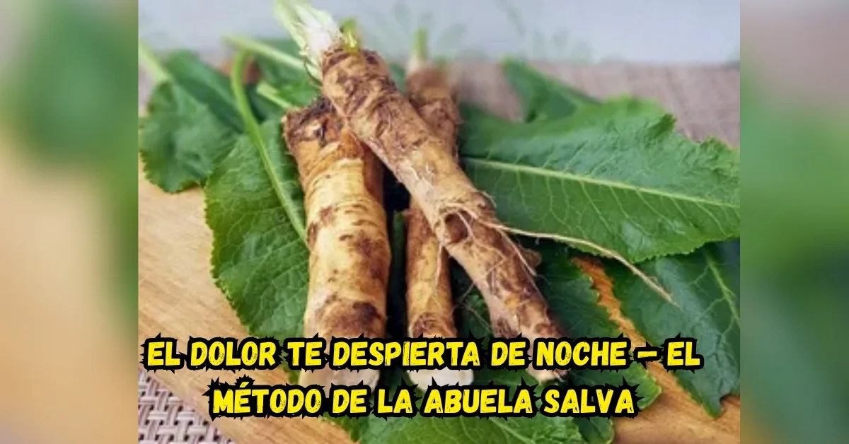 Persona mayor activa y saludable